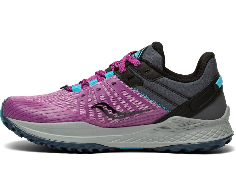 Saucony Mad River Tr 2 Women's Trail Running Shoes Purple / Grey | AU 225JPQJ